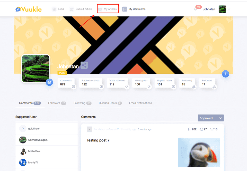 profile overview